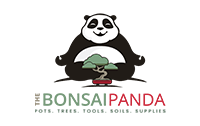 bonsai panda image